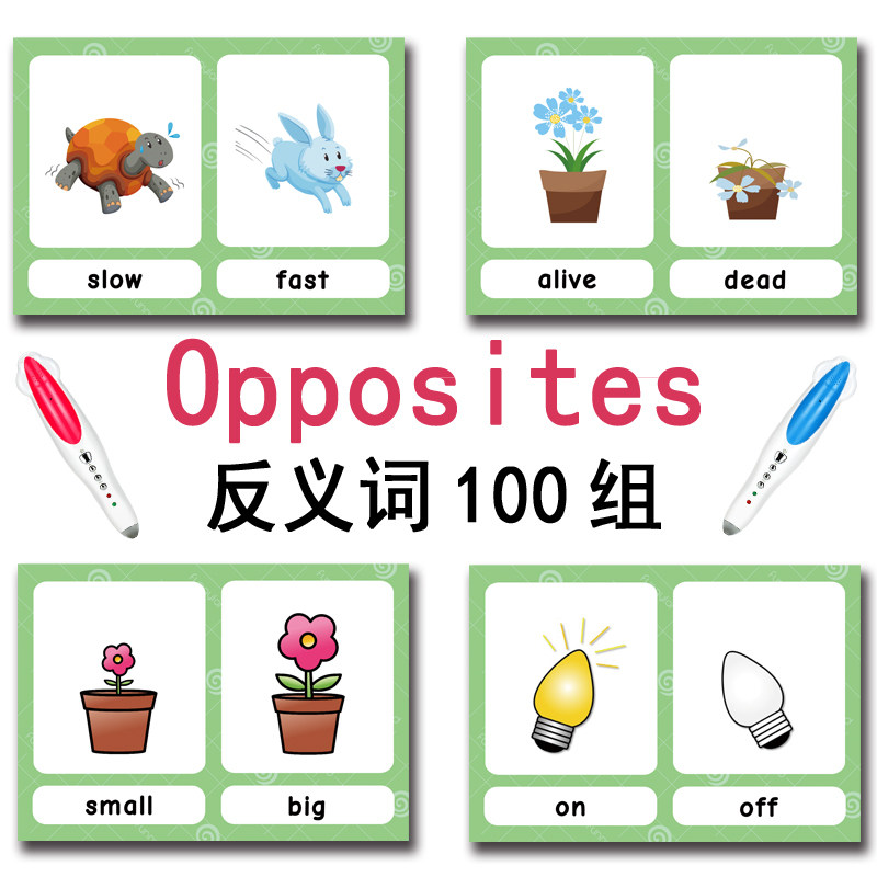 แฟลชการ์ดคำศัพท์ภาษาอังกฤษ 100 - Kids Education Material บทวิจารณ์และราคา