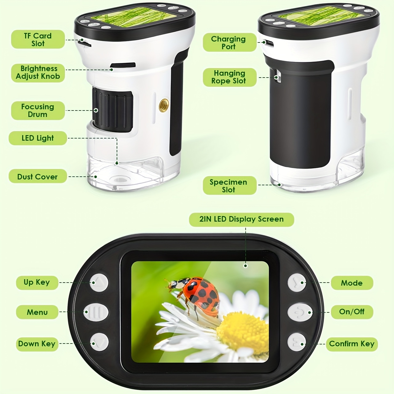 ชุดกล้องจุลทรรศน์สำหรับเด็ก ขย - Kids Education Video บทวิจารณ์และราคา